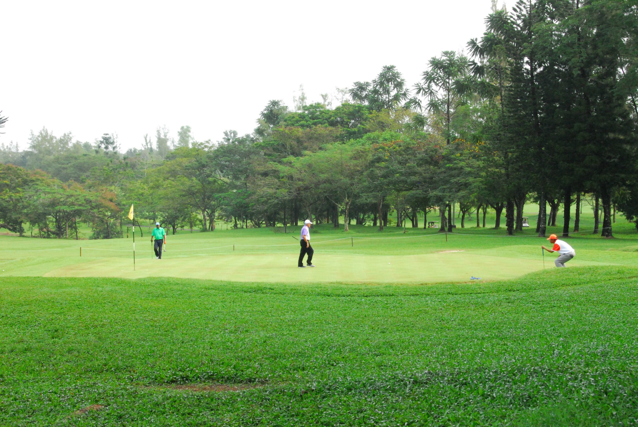 PRO15 157 GOLF DSC 0297.JPG